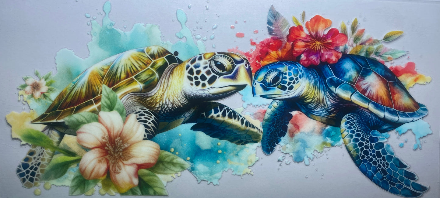 Sea Turtles
