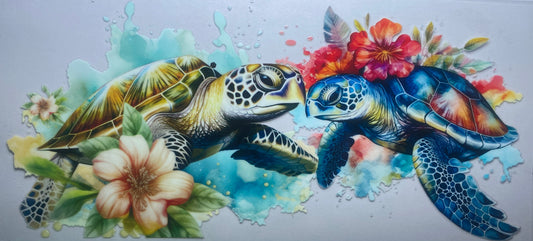 Sea Turtles