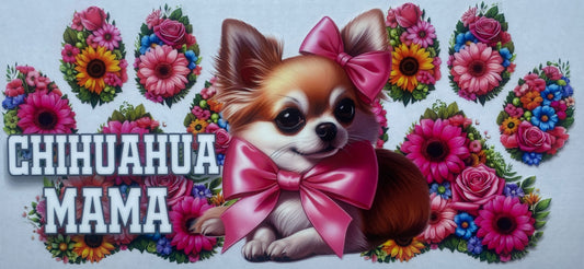 Chihuahua Mama