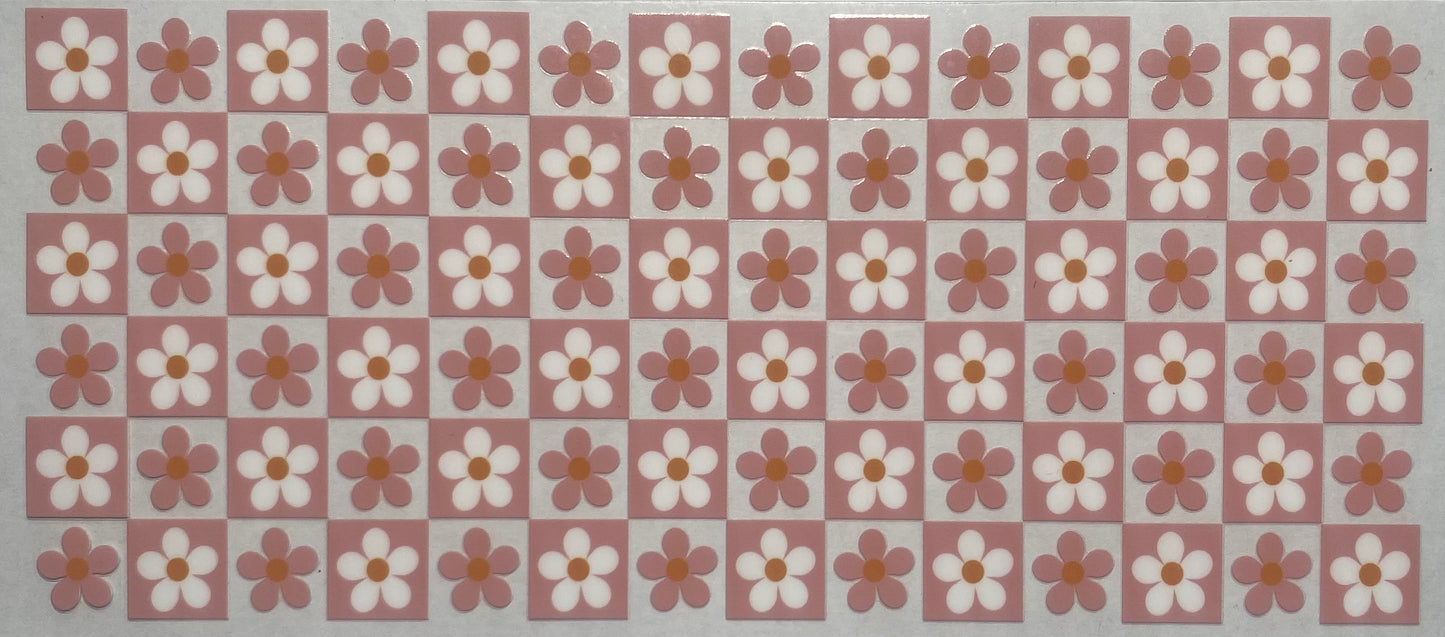 Pink and White Daisy Flowers