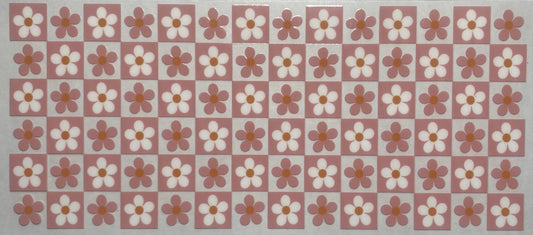 Pink and White Daisy Flowers