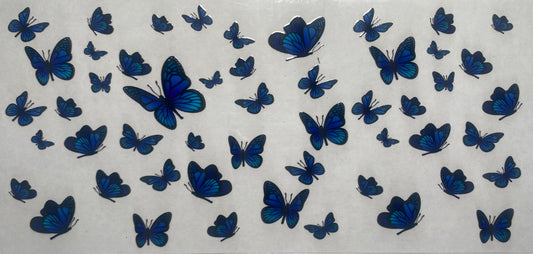 Blue Butterflies